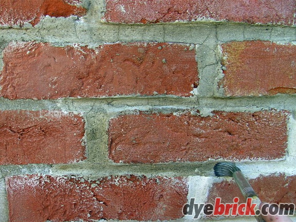 Applying Dyebrick 1